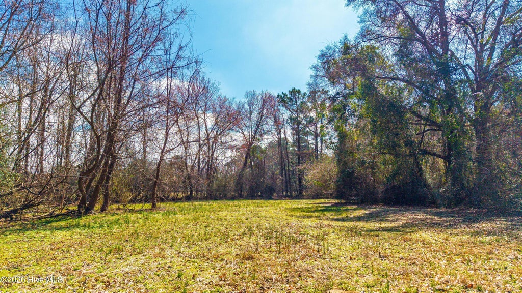 Photo of 5192 Englishtown Road, Wallace, NC 28466 (MLS # 100601474)
