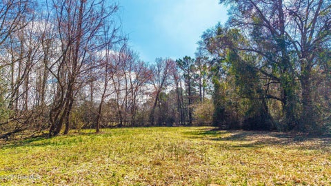 Tiny photo for 5192 Englishtown Road, Wallace, NC 28466 (MLS # 100601474)