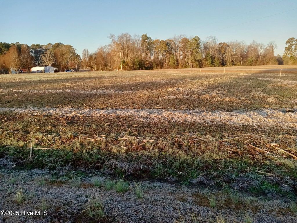 Photo of 1978 Pine Level Church Road, Nakina, NC 28455 (MLS # 100546245)