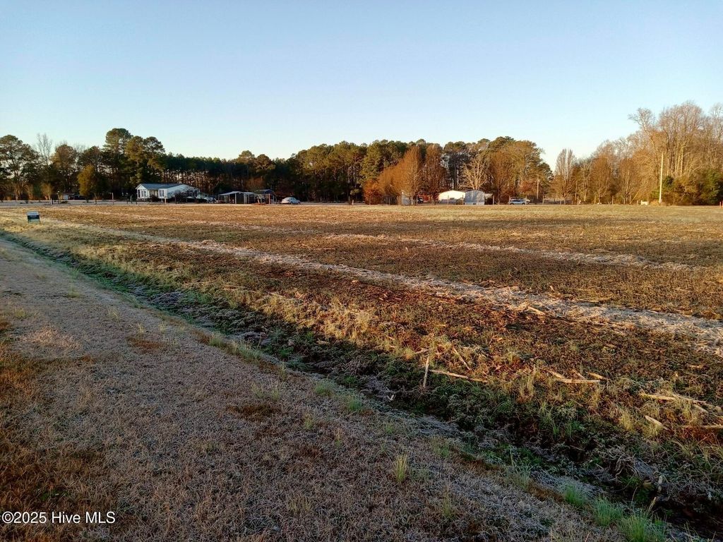 Photo of 1978 Pine Level Church Road, Nakina, NC 28455 (MLS # 100546245)