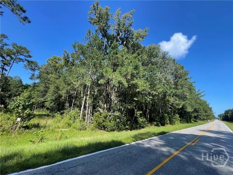 Vacant Land For Sale - Reedsville Rd<br/> Clyo, GA 31303