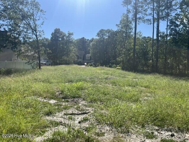 Photo of 306 Joans Ridge, Stella, NC 28582 (MLS # 100601800)