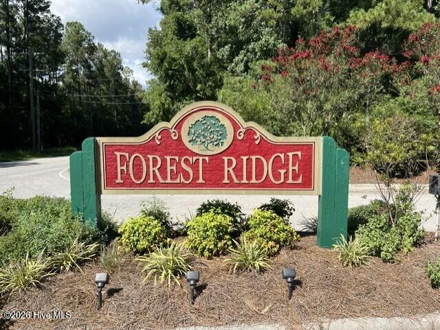 306 33 Joans Ridge