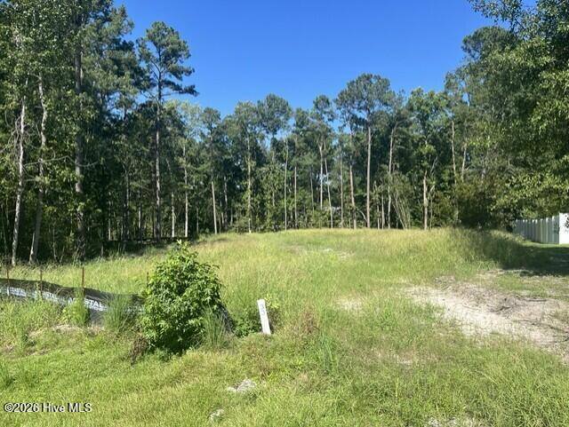 Photo of 306 Joans Ridge, Stella, NC 28582 (MLS # 100601800)