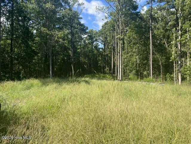 Photo of 306 Joans Ridge, Stella, NC 28582 (MLS # 100601800)