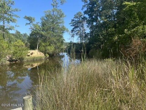 Tiny photo for 306 Joans Ridge, Stella, NC 28582 (MLS # 100601800)