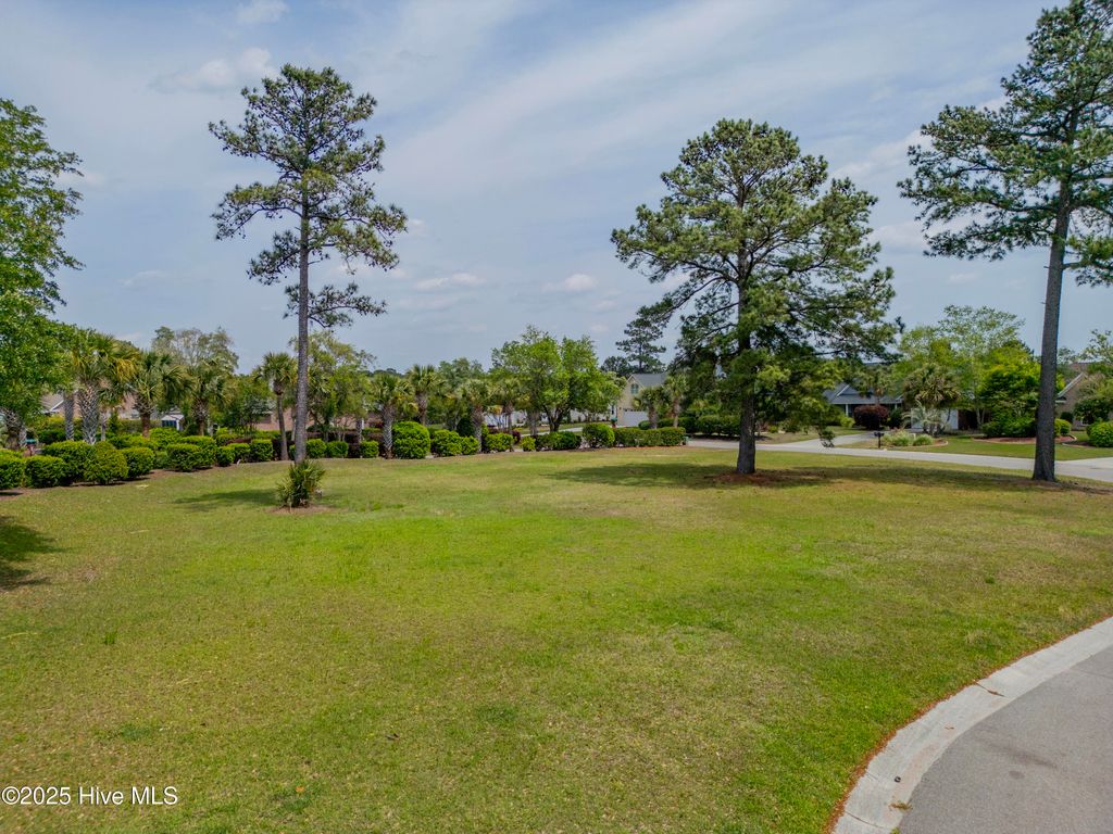 Photo of 1007 Natural Springs Way, Leland, NC 28451 (MLS # 100501498)