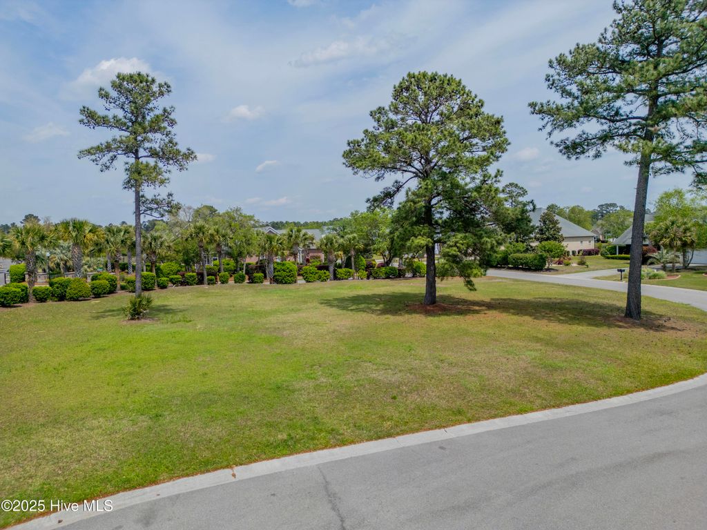 Photo of 1007 Natural Springs Way, Leland, NC 28451 (MLS # 100501498)