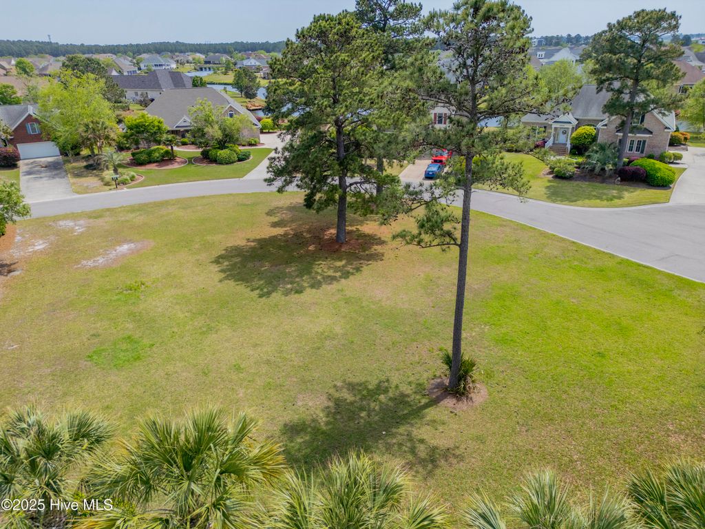 Photo of 1007 Natural Springs Way, Leland, NC 28451 (MLS # 100501498)