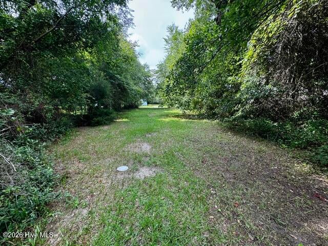 Photo of 1112 Bradley Avenue, Tarboro, NC 27886 (MLS # 100595758)