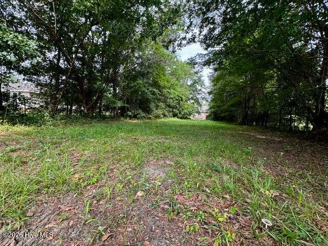 Photo of 1112 Bradley Avenue, Tarboro, NC 27886 (MLS # 100595758)
