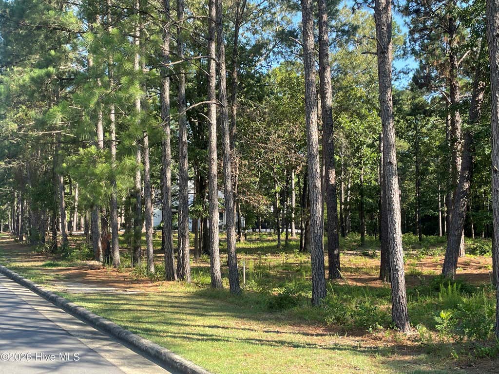 Photo of 231 Meyer Farm Drive, Pinehurst, NC 28374 (MLS # 100589163)