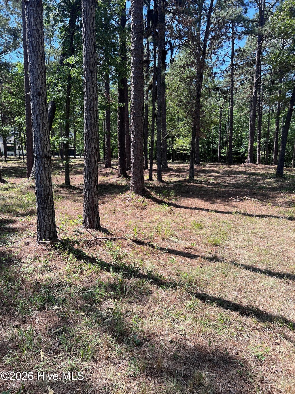 Photo of 231 Meyer Farm Drive, Pinehurst, NC 28374 (MLS # 100589163)