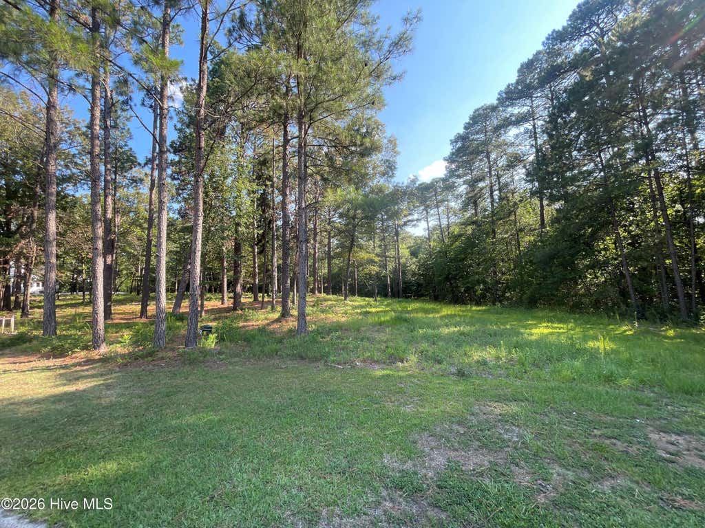 Photo of 231 Meyer Farm Drive, Pinehurst, NC 28374 (MLS # 100589163)