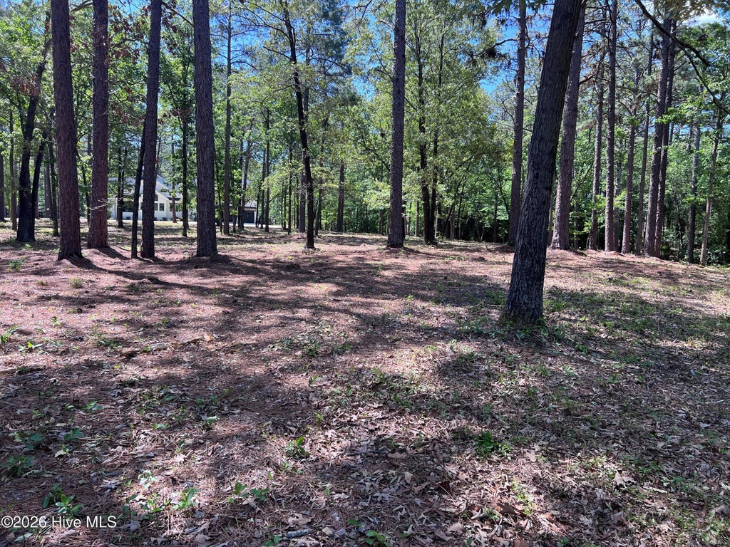 Photo of 231 Meyer Farm Drive, Pinehurst, NC 28374 (MLS # 100589163)