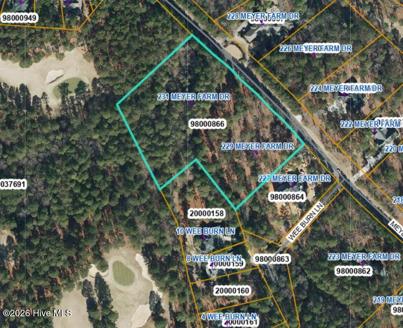 Photo of 231 Meyer Farm Drive, Pinehurst, NC 28374 (MLS # 100589163)