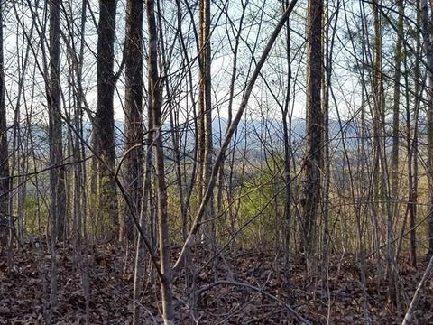 Vacant Land For Sale - 00 Dasali Way<br/> Murphy, NC 28906