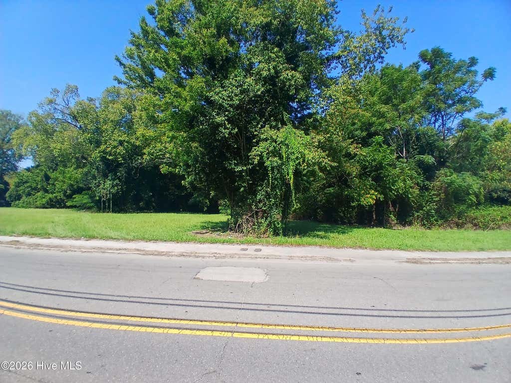 Photo of 509 S Slocumb Street, Goldsboro, NC 27530 (MLS # 100599201)