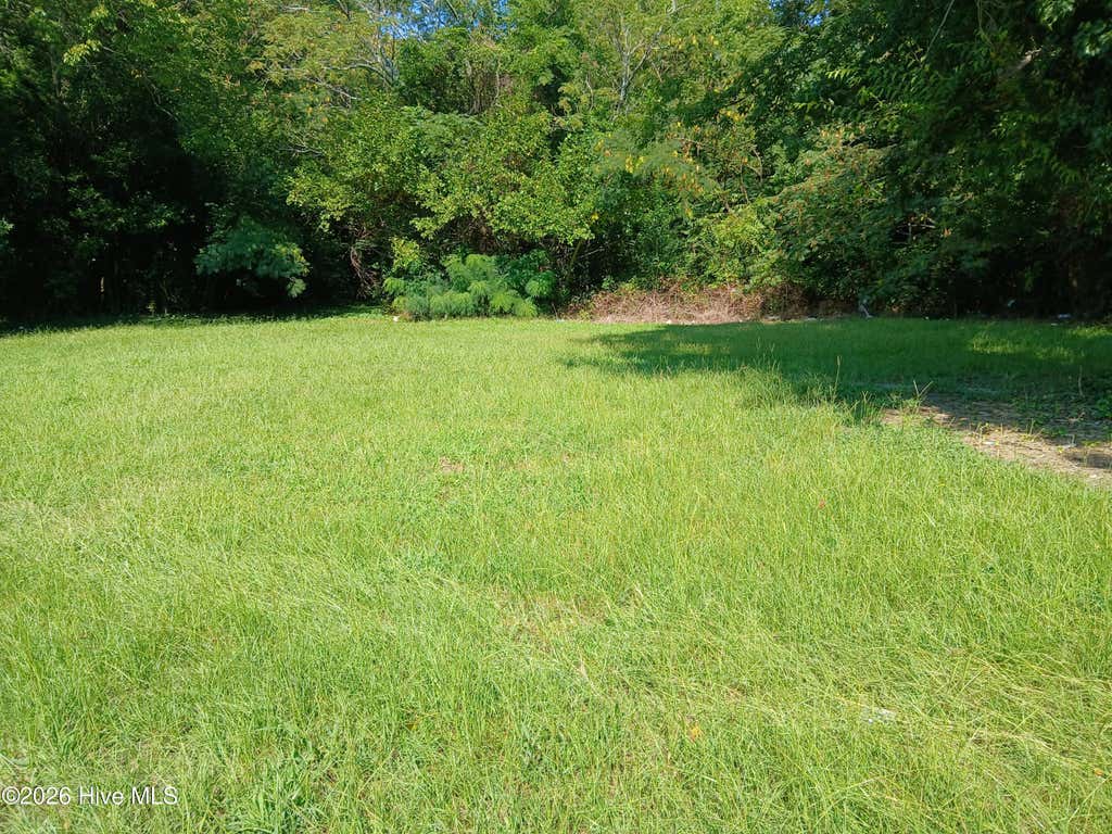 Photo of 509 S Slocumb Street, Goldsboro, NC 27530 (MLS # 100599201)
