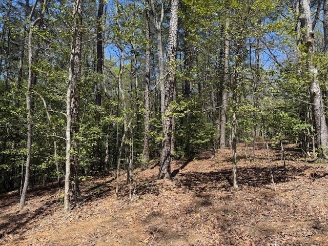 Lot 2 2 Lynae Lane - Photo 4