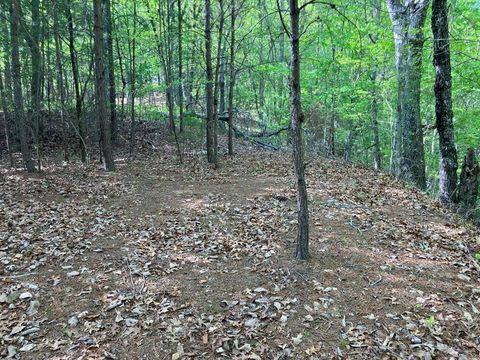 Vacant Land For Sale - LT24 Mission Ridge Court<br/> Hayesville, NC 28904