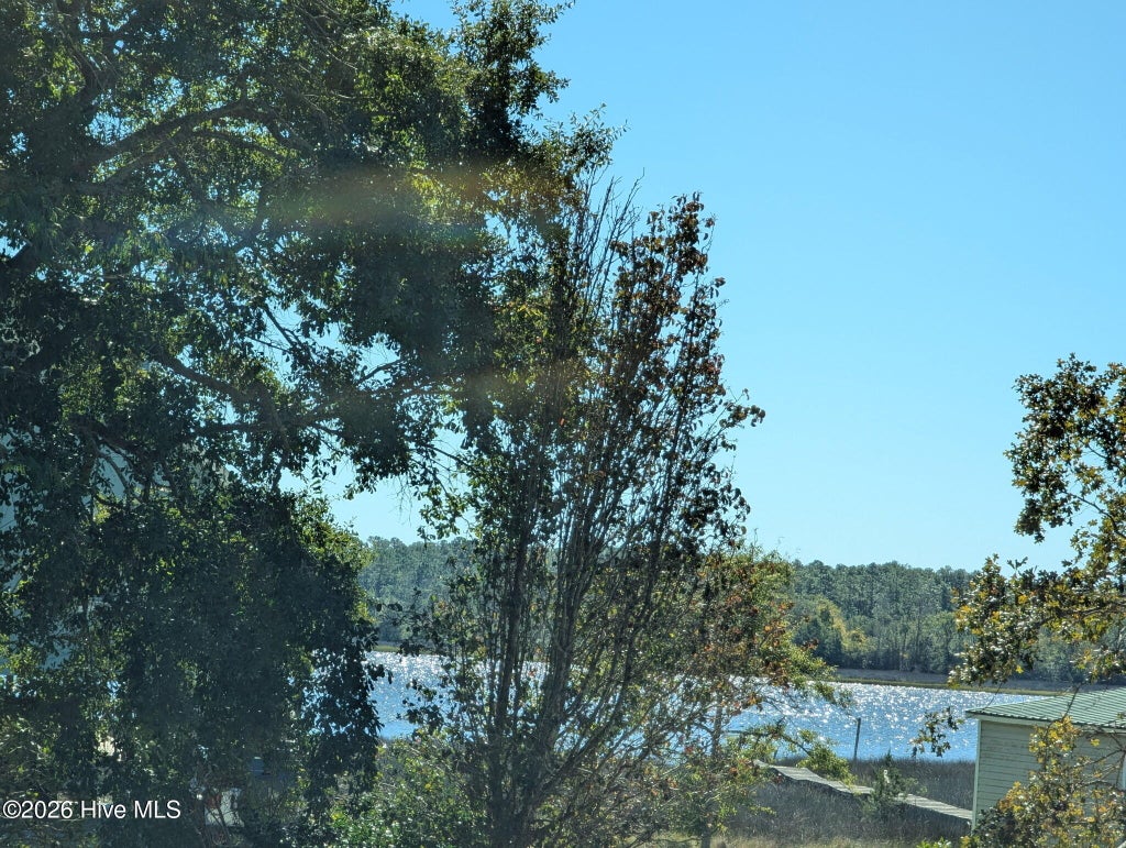 Photo of 230 Youpon Drive, Hubert, NC 28539 (MLS # 100611478)