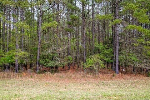1030 Clinton-Williams Road Road Lot 5 Lincolnton GA 30817