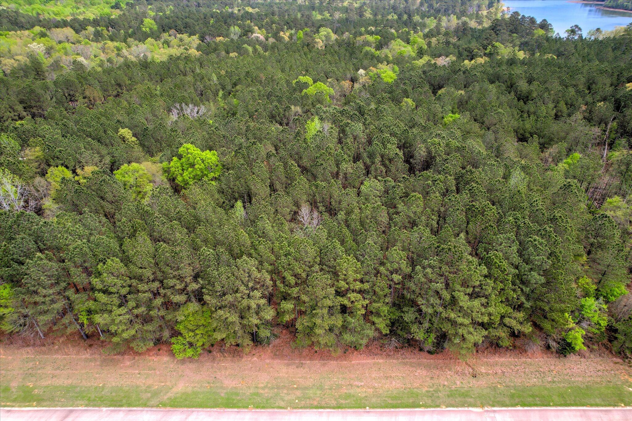 1030 Clinton-Williams Road Road Lot 5