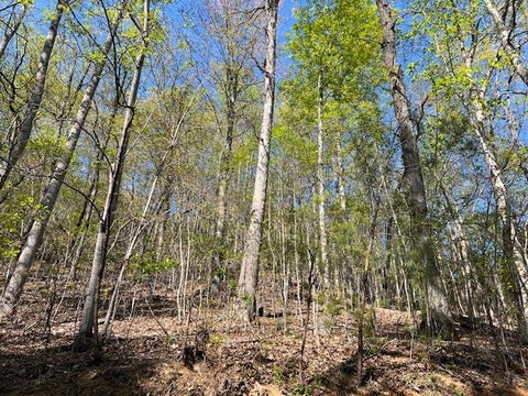 Vacant Land For Sale - LOT 2B Grandview Drive<br/> Hayesville, NC 28904