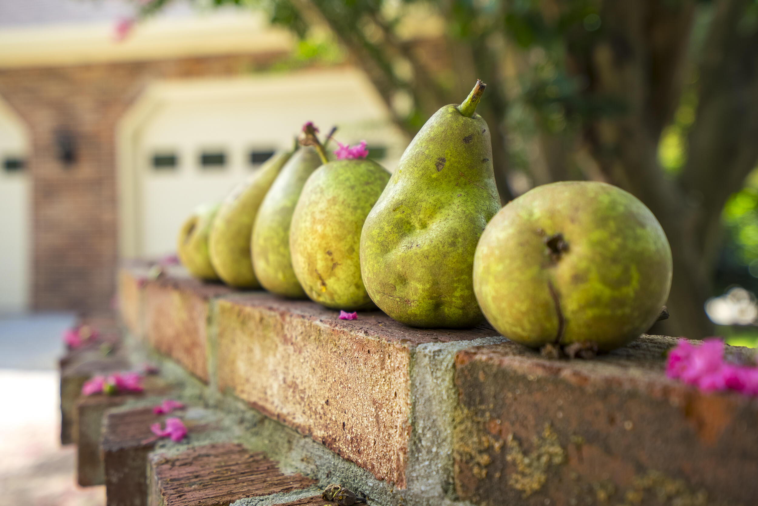 670 Partridge Bend Road