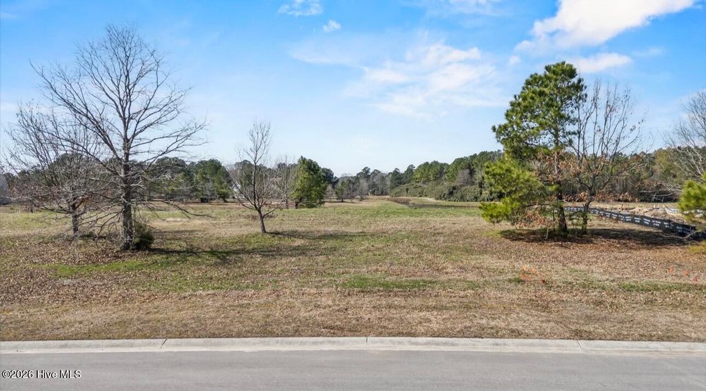 Photo of 150 Sycamore Lakes Drive, Wallace, NC 28466 (MLS # 100559483)