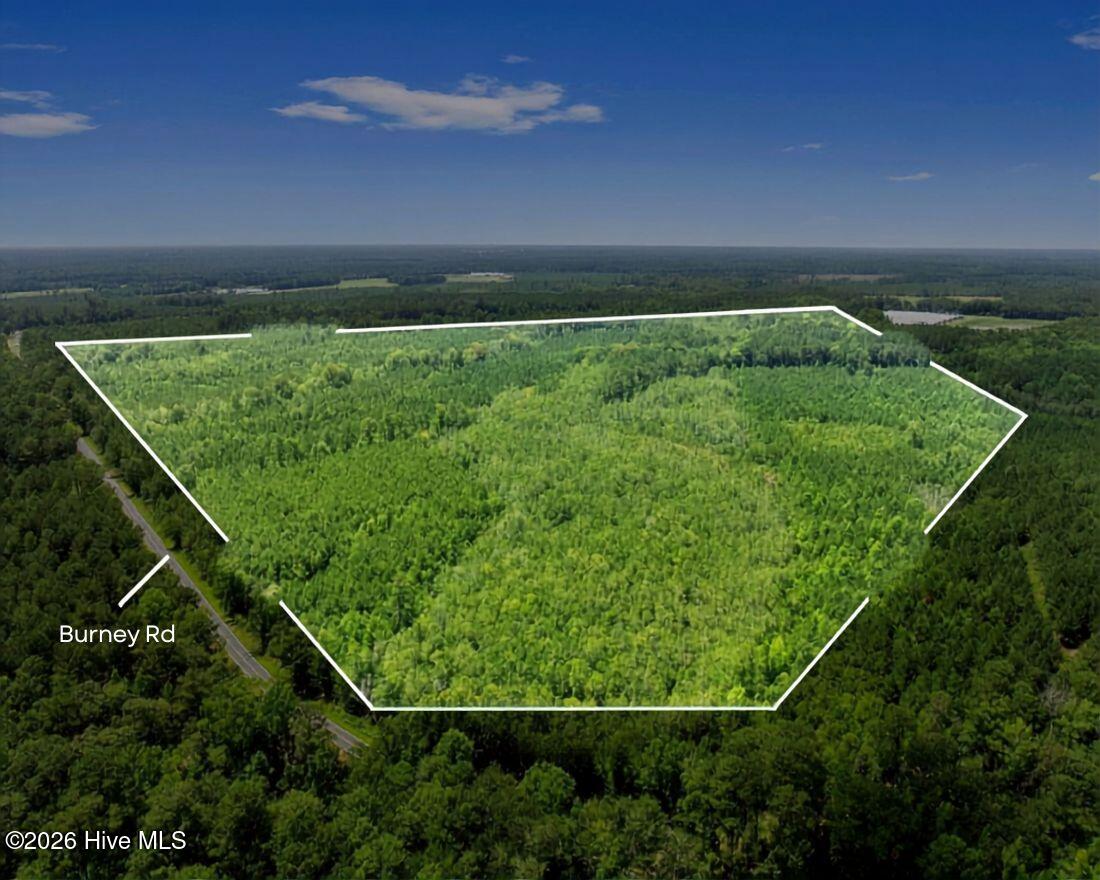 Photo 1 of 5 — Na Burney Road, White Oak, NC 28399