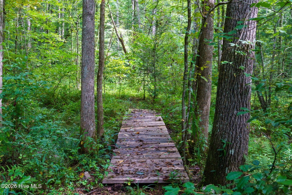 Photo of 71 Craig Farm Road, Murphy, NC 28906 (MLS # 100598540)