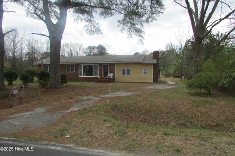 Photo of 291 Community Road, Warsaw, NC 28398 (MLS # 100544913)