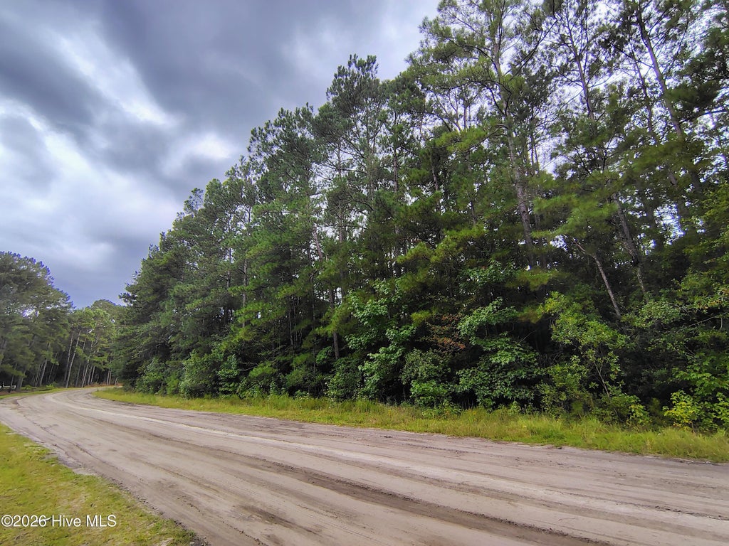 Photo of 45 Near 519 Deer Lane, Tabor City, NC 28463 (MLS # 100600263)