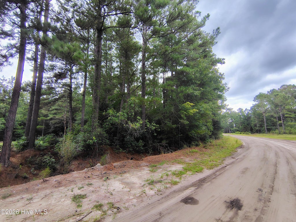Photo of 45 Near 519 Deer Lane, Tabor City, NC 28463 (MLS # 100600263)