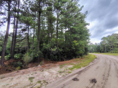Vacant Land For Sale - LOT 45 Near 519 Deer Lane<br/> Tabor City, NC 28463