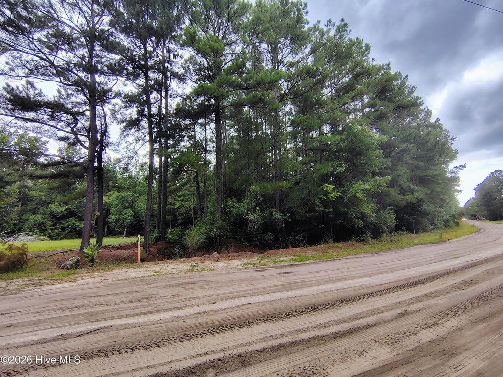 Photo of 45 Near 519 Deer Lane, Tabor City, NC 28463 (MLS # 100600263)
