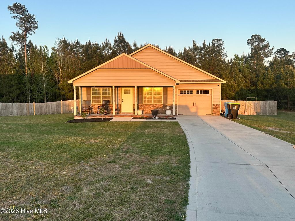 Photo of 263 Rowland Drive, Richlands, NC 28574 (MLS # 100567907)