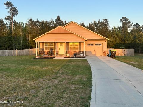 Photo of 263 Rowland Drive, Richlands, NC 28574 (MLS # 100567907)