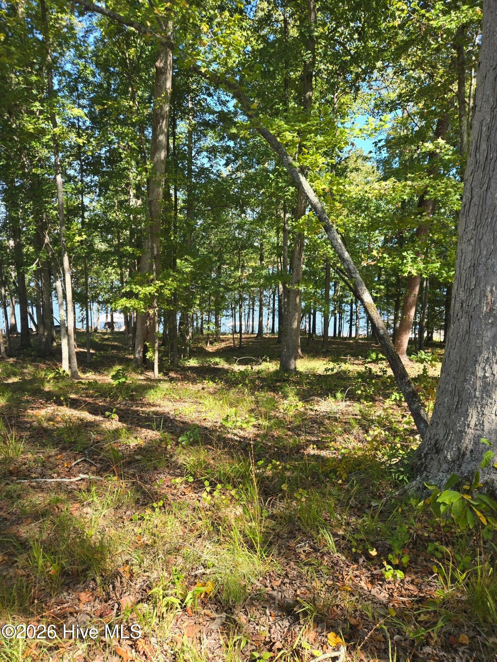 Photo of 0 Nautical Point, Lincolnton, GA 30817 (MLS # 100608695)