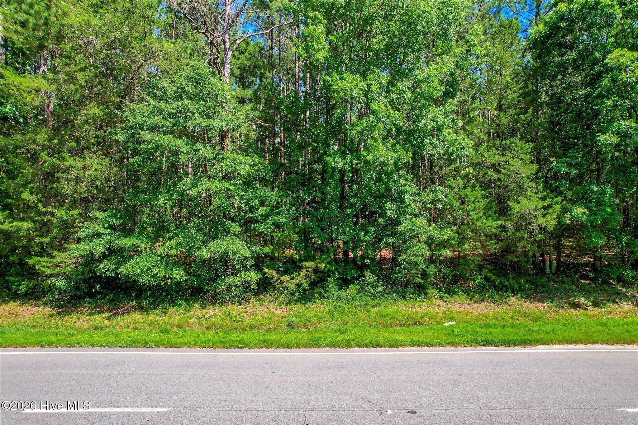 0 Us Hwy 378 And Ann Scott Drive
