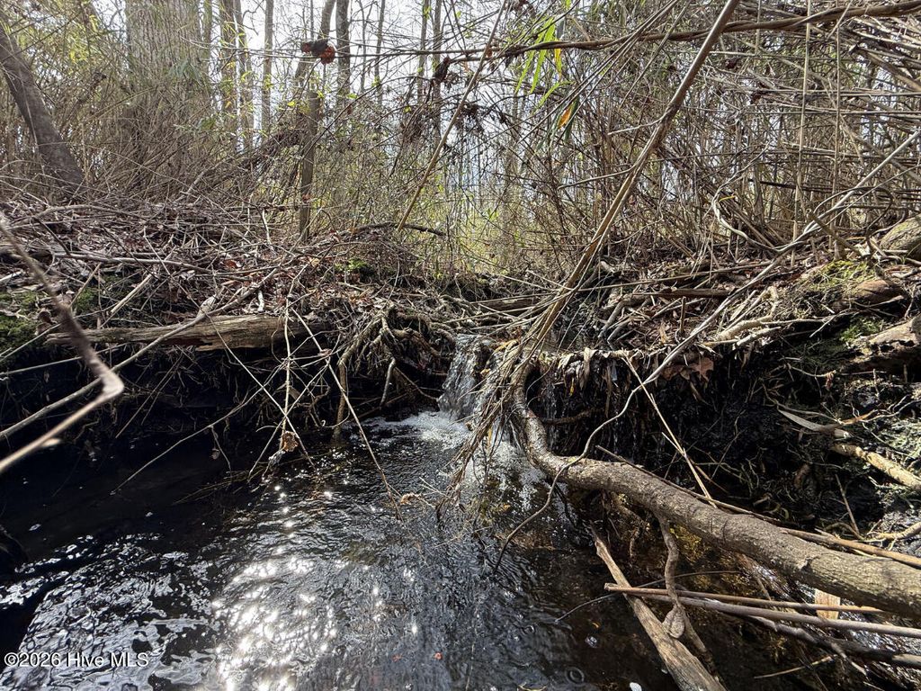 Photo of Tbd Mcgee Road, Rockingham, NC 28379 (MLS # 100564238)