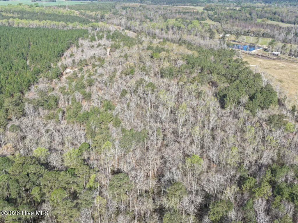 Photo of Tbd Mcgee Road, Rockingham, NC 28379 (MLS # 100564238)