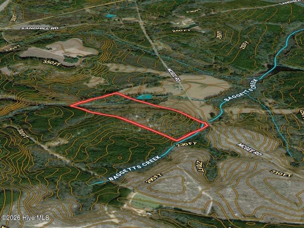 Photo of Tbd Mcgee Road, Rockingham, NC 28379 (MLS # 100564238)