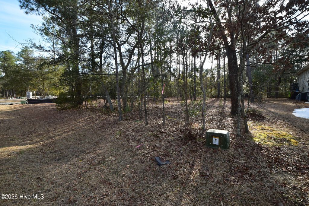 Photo of 5508 Peace And Plenty Court, New Bern, NC 28560 (MLS # 100554537)