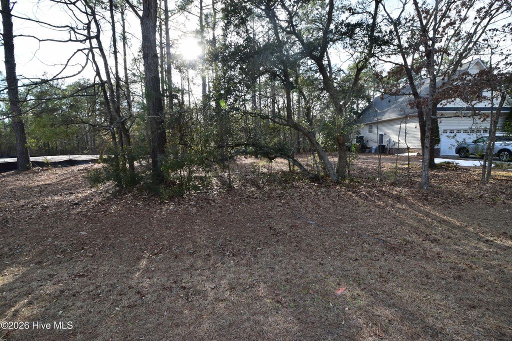 Photo of 5508 Peace And Plenty Court, New Bern, NC 28560 (MLS # 100554537)