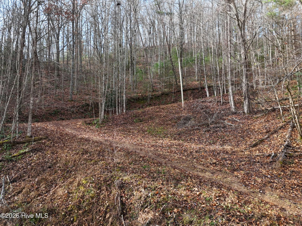 Photo of 14 Park Hill Avenue, Blairsville, GA 30512 (MLS # 100608308)