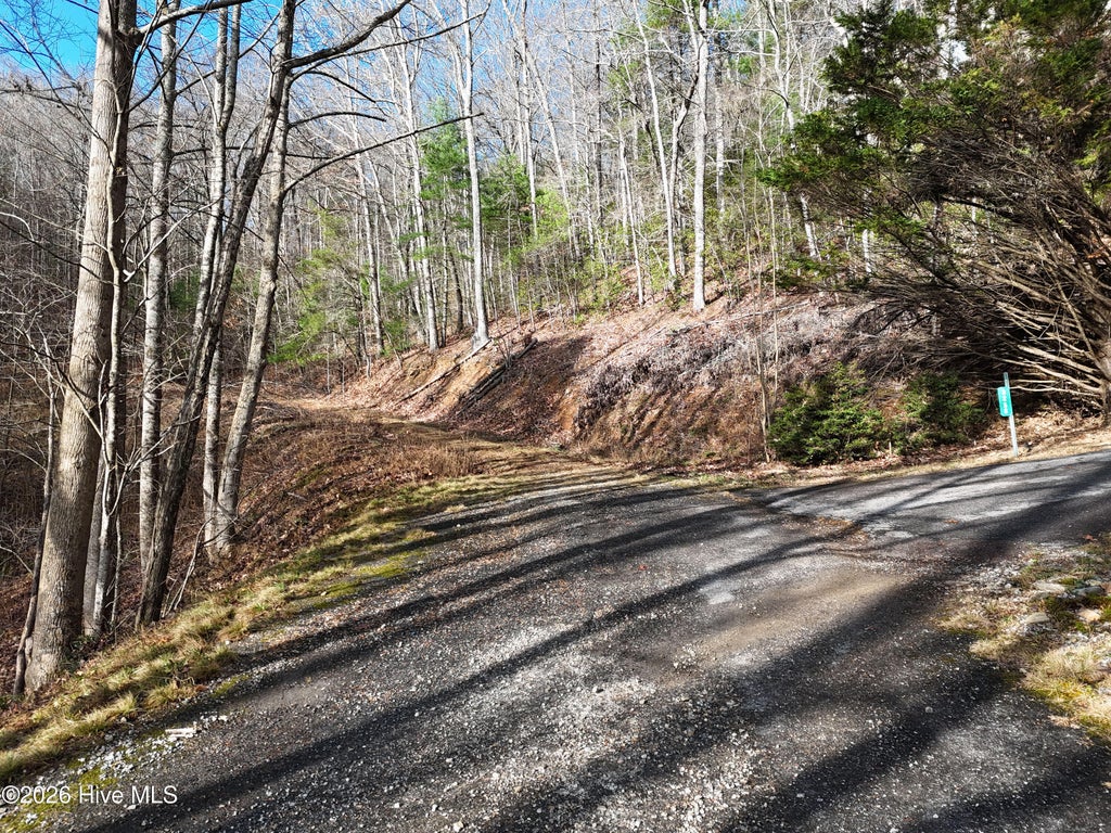 Photo of 14 Park Hill Avenue, Blairsville, GA 30512 (MLS # 100608308)