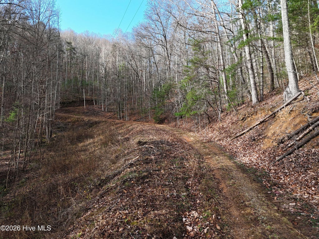 Photo of 14 Park Hill Avenue, Blairsville, GA 30512 (MLS # 100608308)